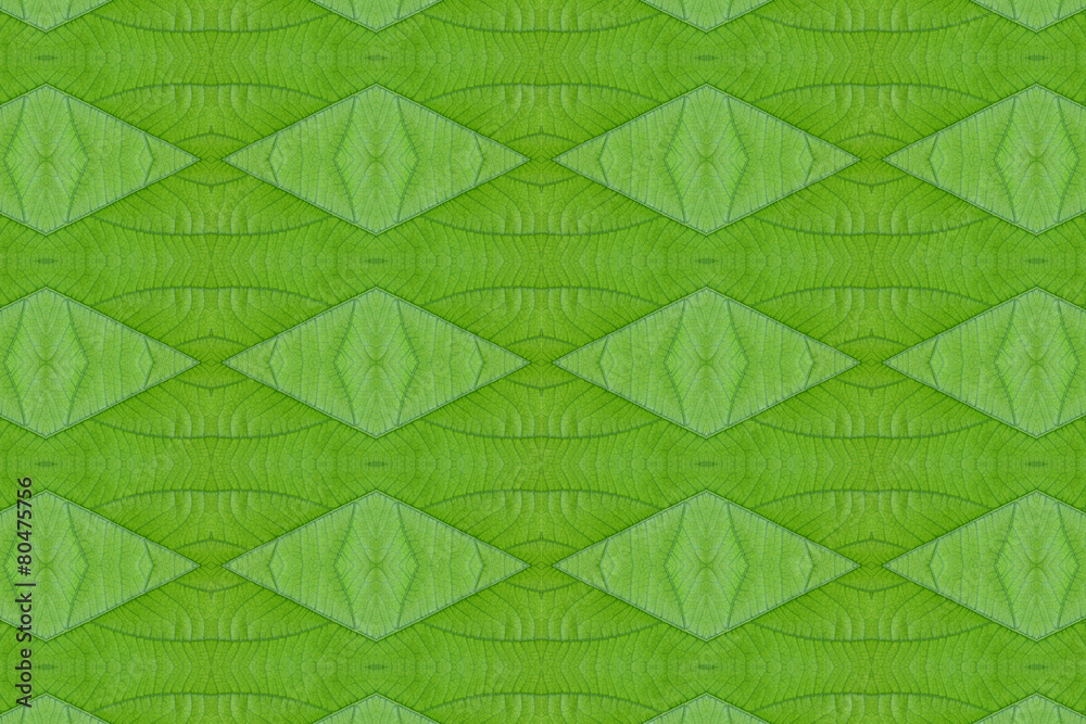 Idea form leaf.(Pattern for wallpaper concept)