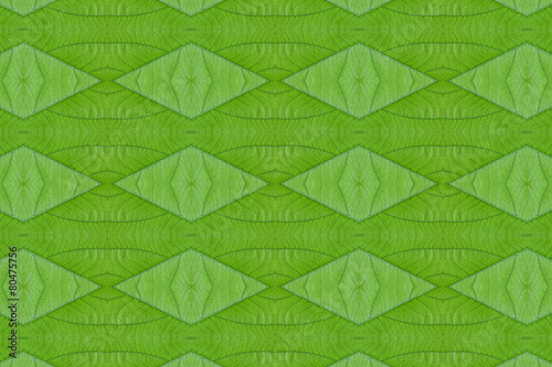 Idea form leaf.(Pattern for wallpaper concept)