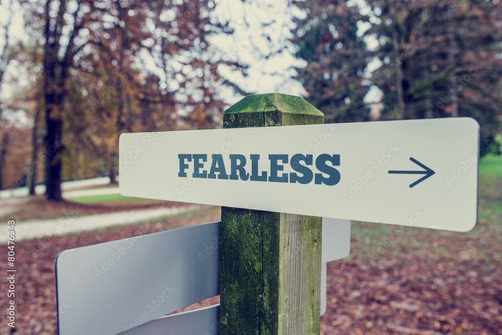 Sign Post Showing Direction to Fearlessness