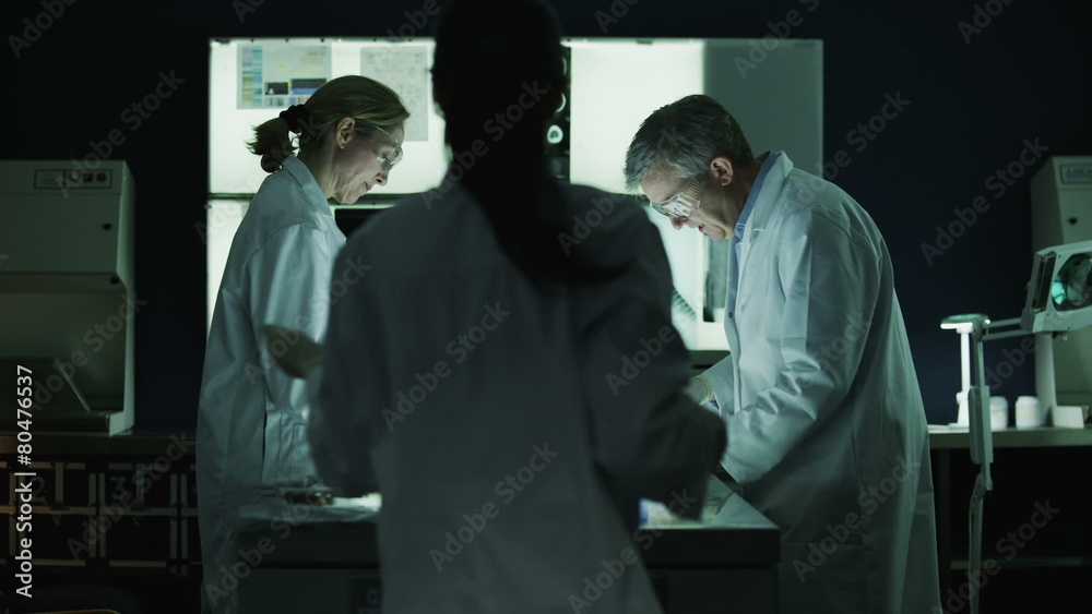 Multi ethnic medical research team working in the lab