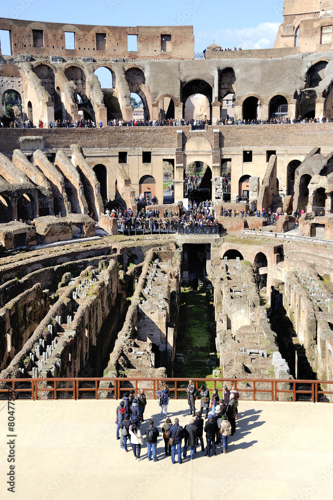 Naklejka premium Colosseum of Rome