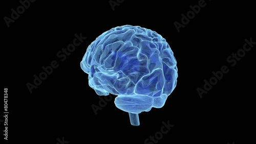 Brain model xray look isolated on black background