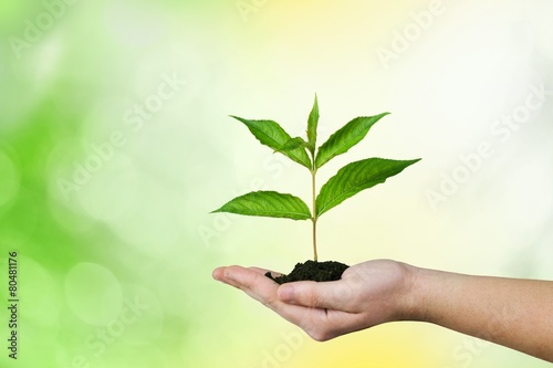 Environmental. Conceptual environment photo of small plant in © BillionPhotos.com