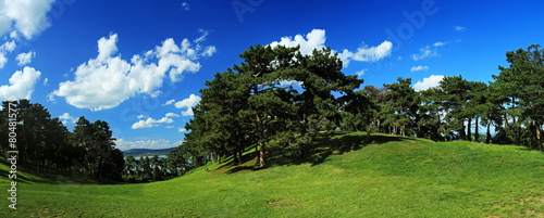 Beautiful landscape with hill, trees and cloud