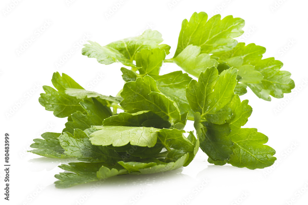 parsley leaves close up on the white parsley leaves close up on the white