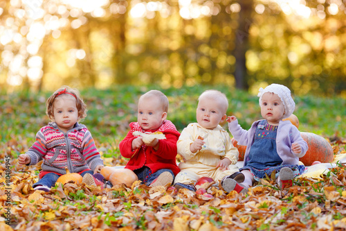 Four cheerful little baby sitting on yellow autumn leaves