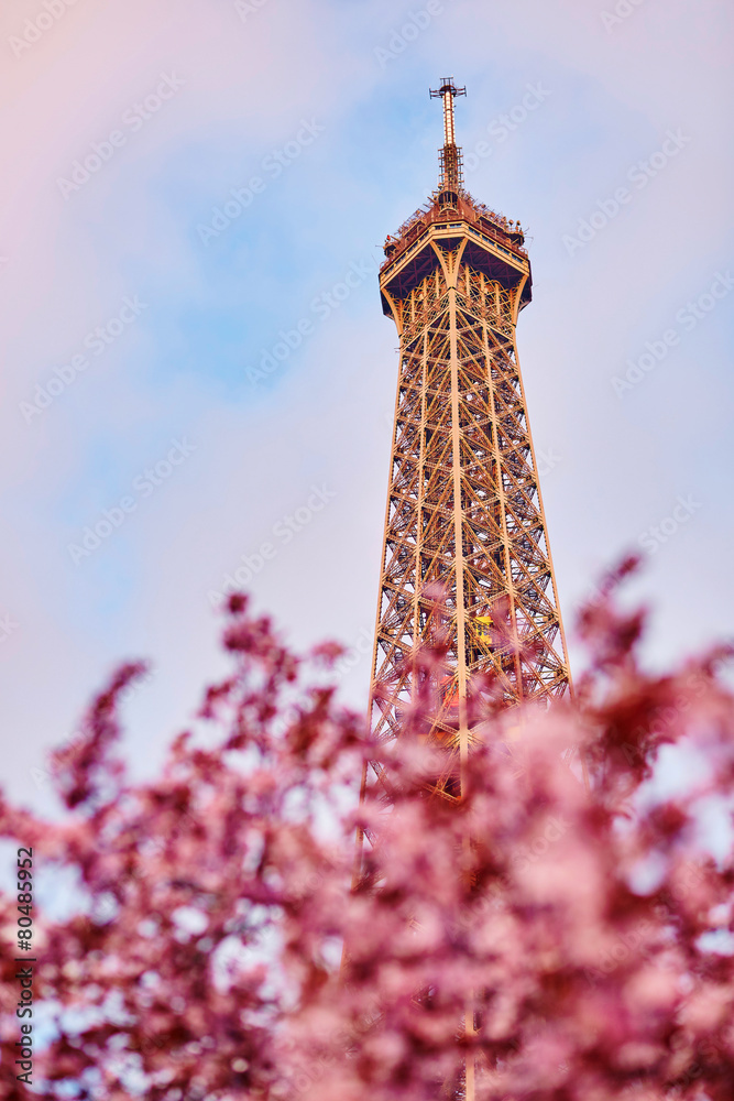 Spring in Paris Spring in Paris