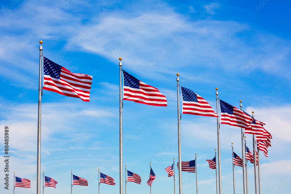 Washington Monument flags circle in DC USA Washington Monument flags circle in DC USA
