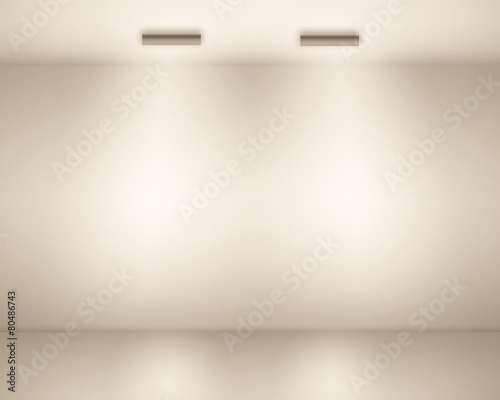 Empty space (empty wall in a room)
