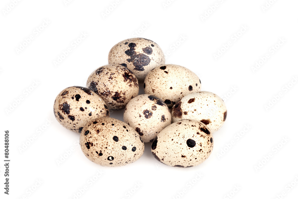 Quail Eggs Isolated