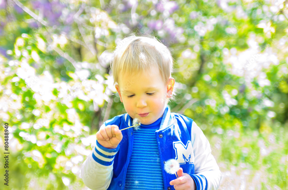 blond boy blowing on dandelion outdoors blond boy blowing on dandelion outdoors