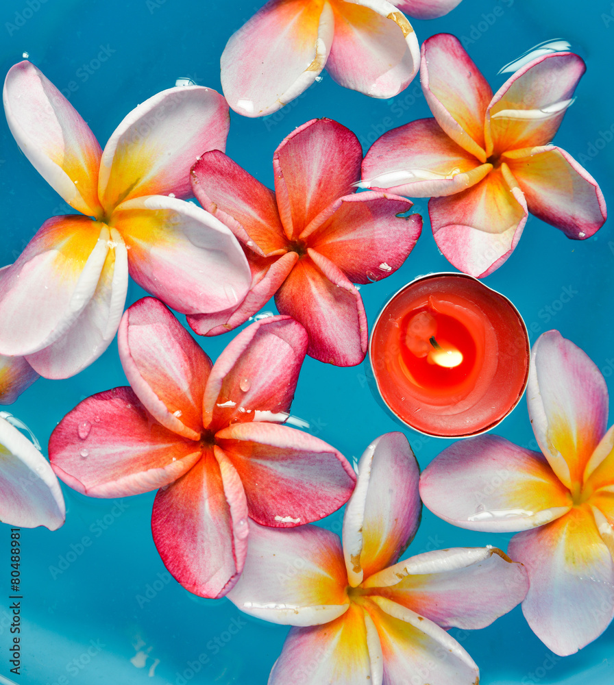 pink frangipani with candle in the blue water