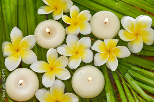 White frangipani with candle and wet palm leaf texture
