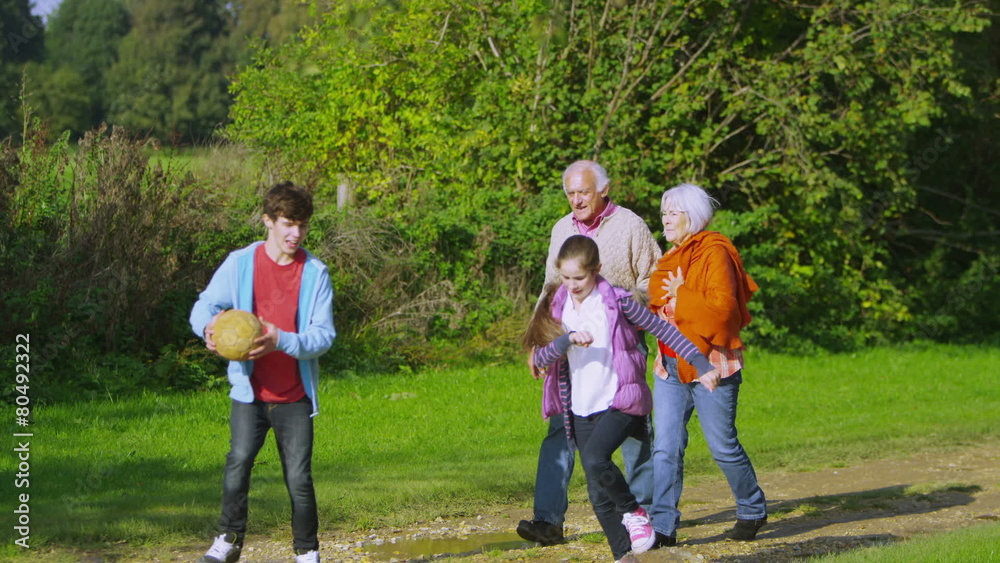 Cheerful grandparents take a walk with their grandchildren in the countryside Cheerful grandparents take a walk with their grandchildren in the countryside