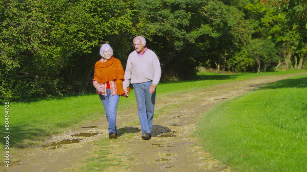 Affectionate senior couple hold hands as they take a walk in the countryside Affectionate senior couple hold hands as they take a walk in the countryside