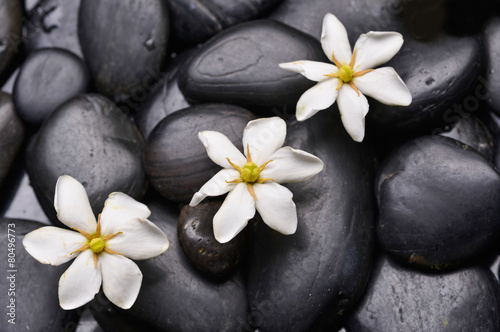 Set of gardenia on black pebbles 