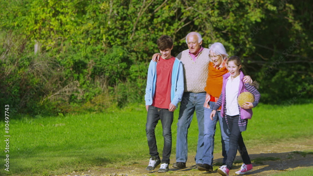 Cheerful grandparents take a walk with their grandchildren in the countryside Cheerful grandparents take a walk with their grandchildren in the countryside