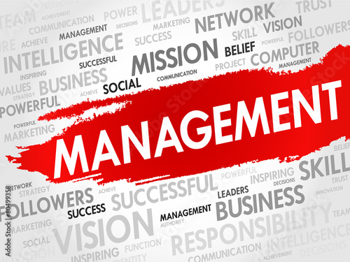 MANAGEMENT word cloud, business concept