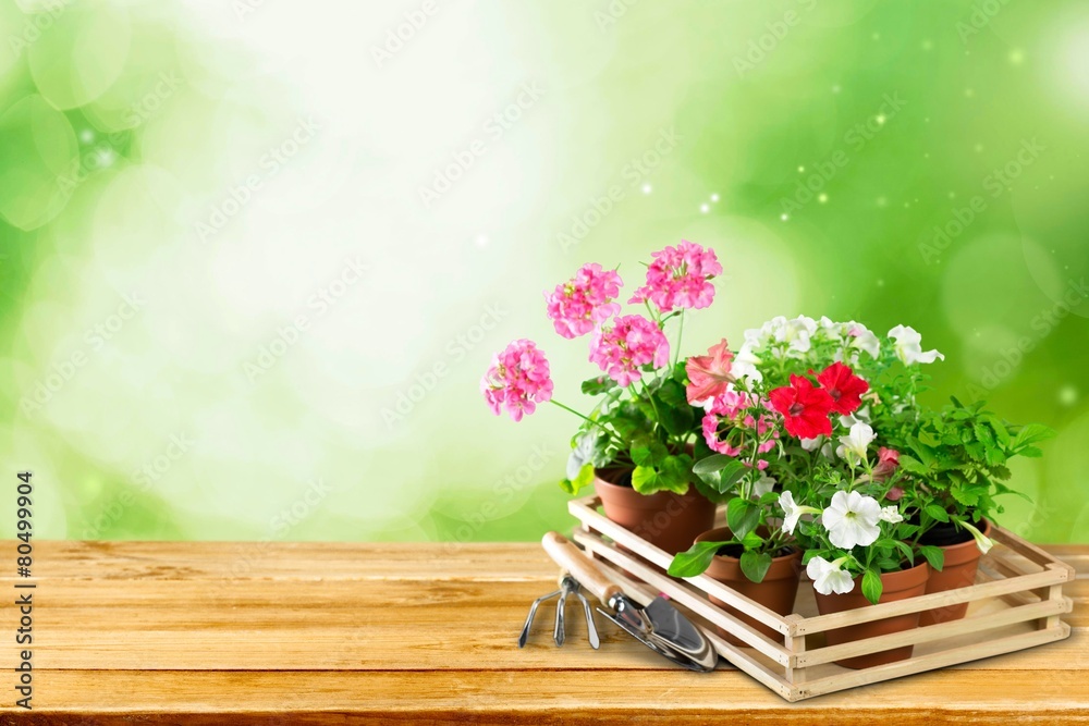 Gardening. Outdoor gardening tools and flowers Gardening. Outdoor gardening tools and flowers
