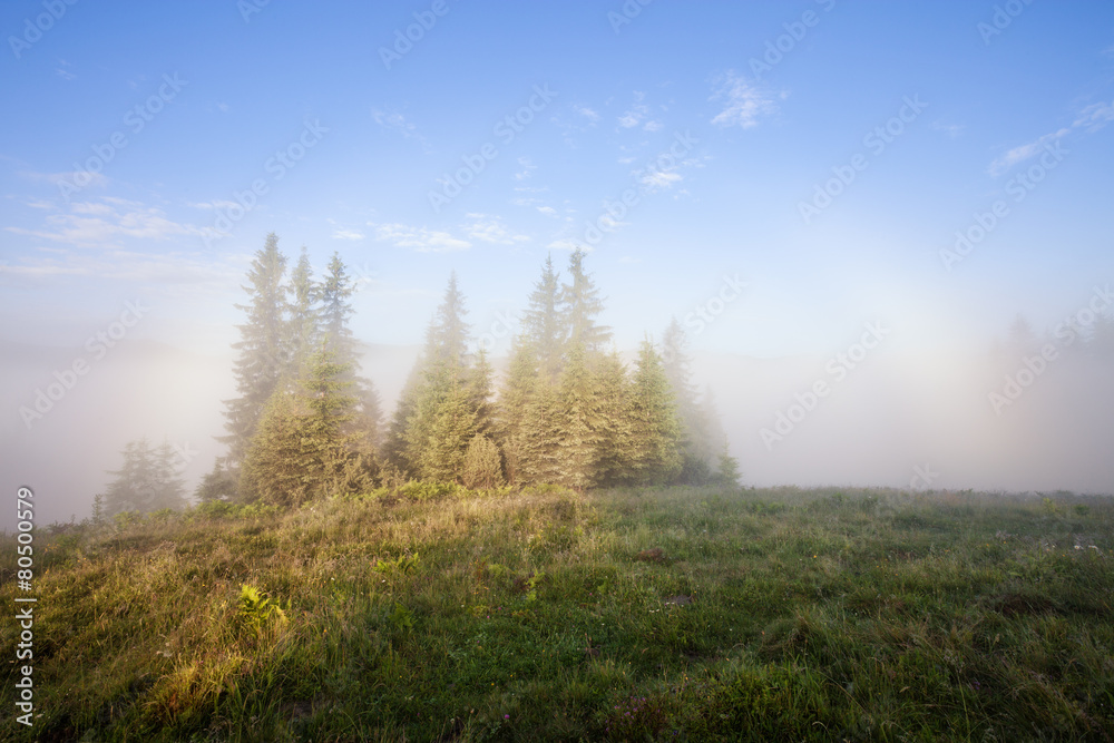 Fototapeta premium Foggy mountain morning