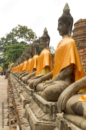 Buddha statue in a row