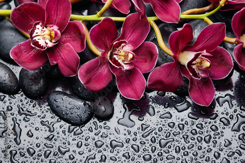 Fototapeta Naklejka Na Ścianę i Meble -  branch red orchid and black pebbles on wet background