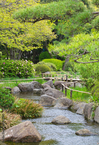 Natural Japanese green garden in summer season © torsakarin