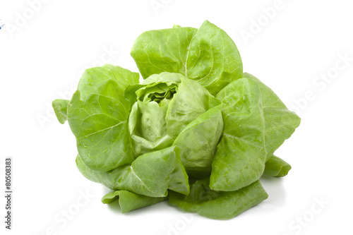 Fresh butterhead salad isolated on white background