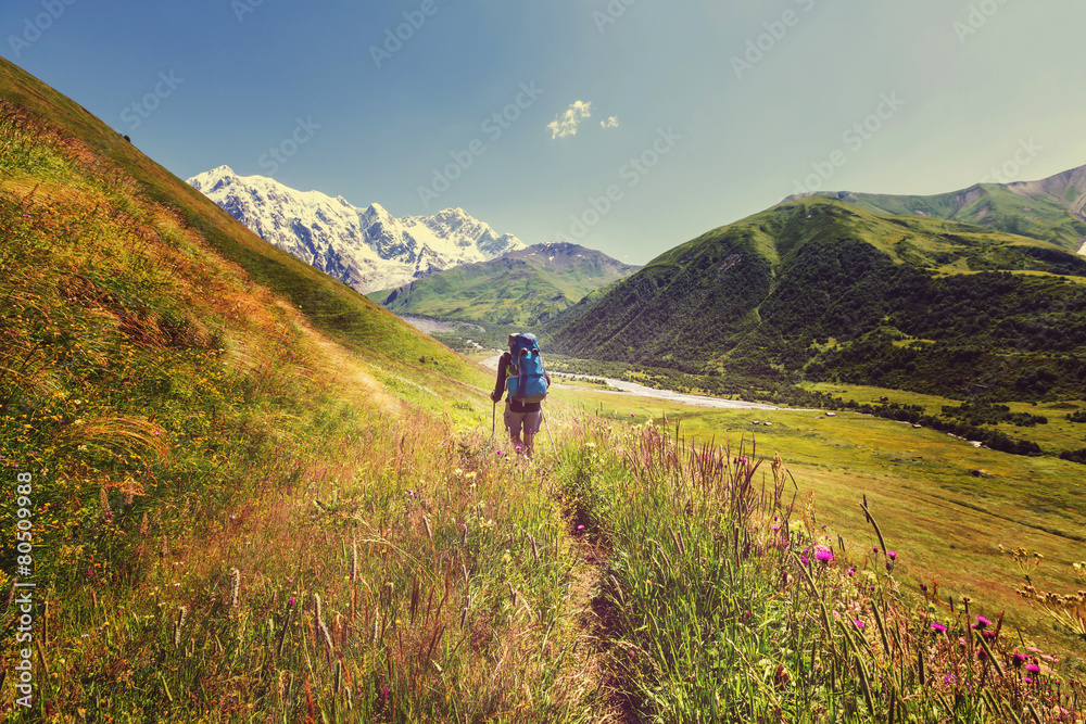 Fototapeta premium Hike