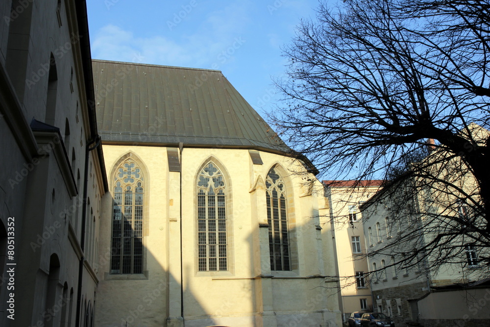 Fototapeta premium Altstadtansicht Zeitz