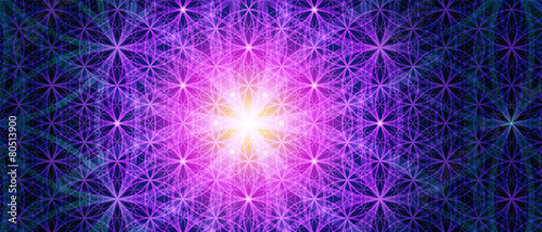 The Flower Of Life background