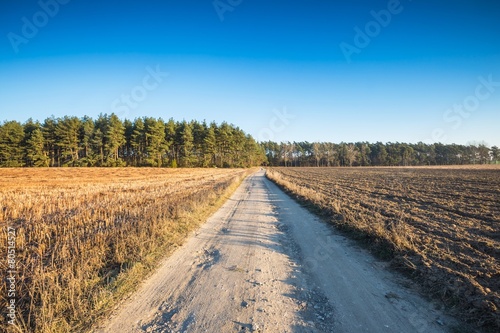 Field with rural road