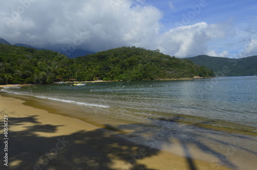 Sombra de coqueiros na praia de palmas em Ilha Grande no Rio de Janeiro