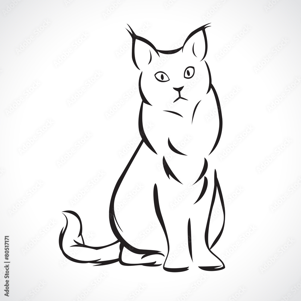cat art cat art