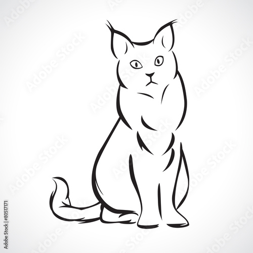 cat art