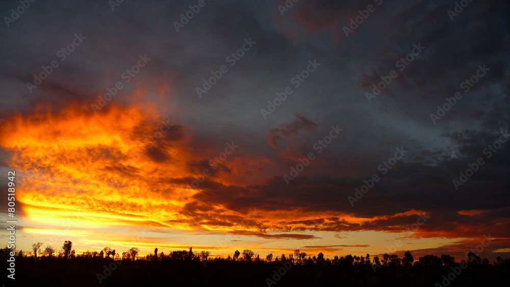 Fototapeta premium Sunset