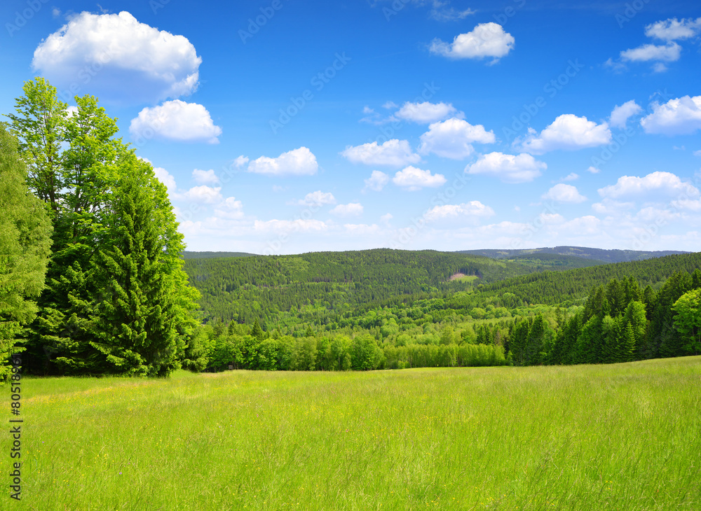 Spring landscape in the national park Sumava - Czech Republic