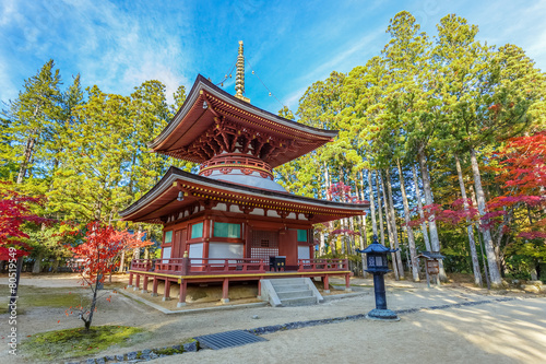 Kongozanmaiin Pagoda AT Danjo Garan Temple in Mt. Koya, Wakayama, Japan  photo