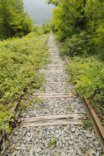 abandoned train track