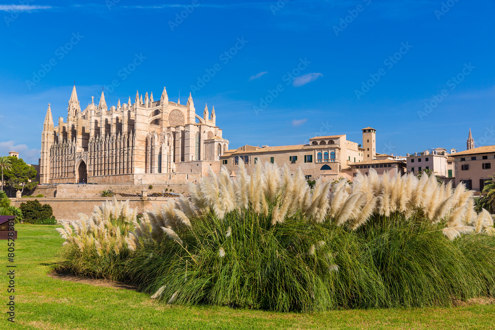 Majorca Palma Cathedral Seu Seo of Mallorca
