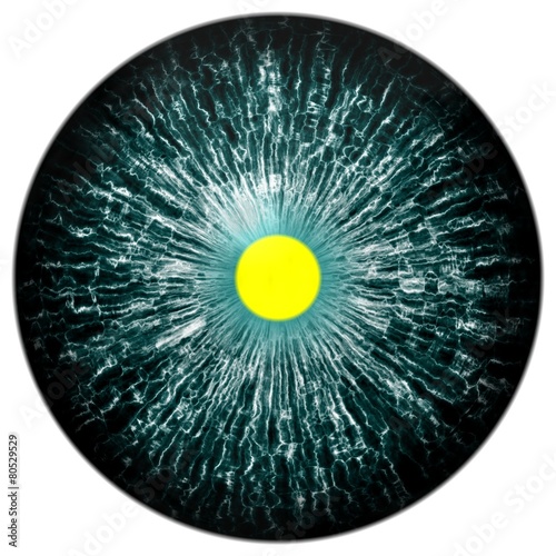 Dark green animal eye with open pupil and yellow retina photo