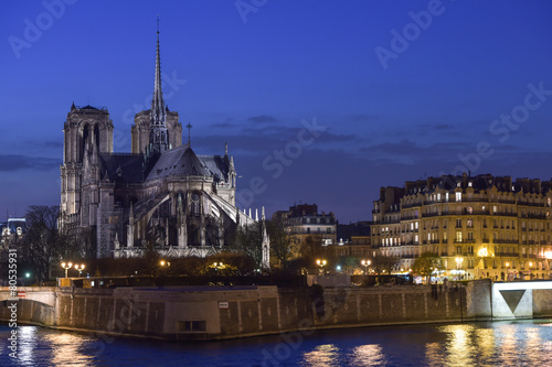 France, Paris, Illuminated Notre Dame de Paris seen from Seine a