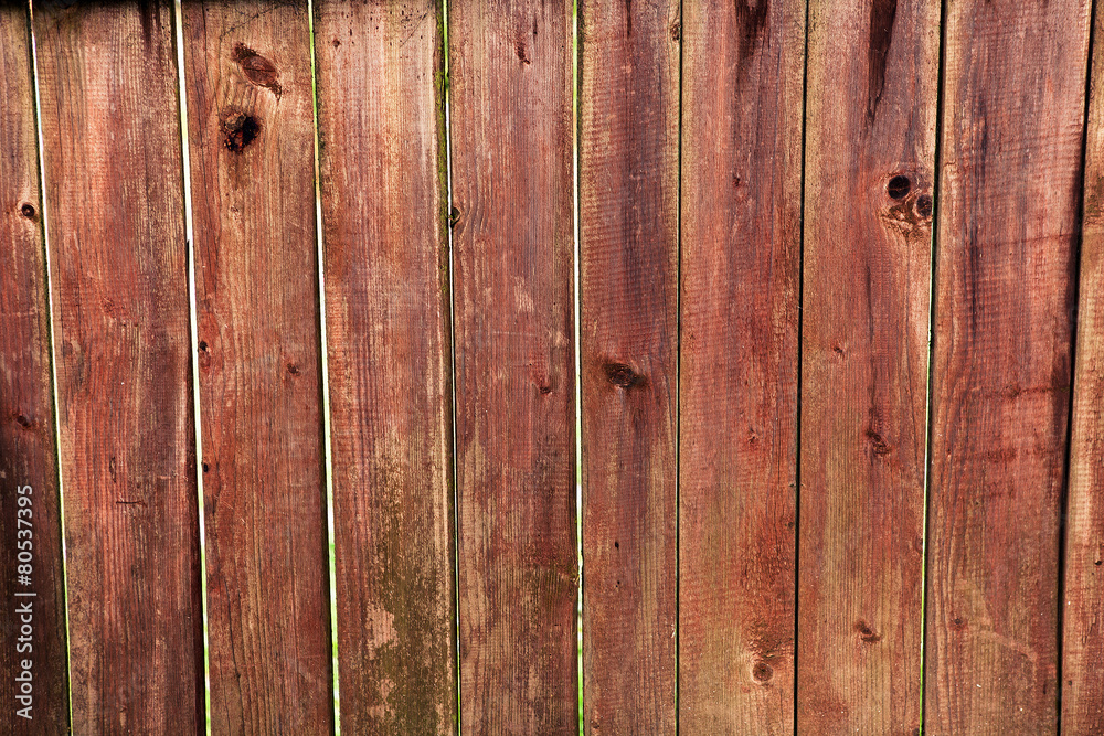 wood texture wood texture