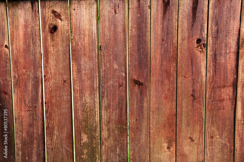 Wallpaper Mural wood texture Torontodigital.ca