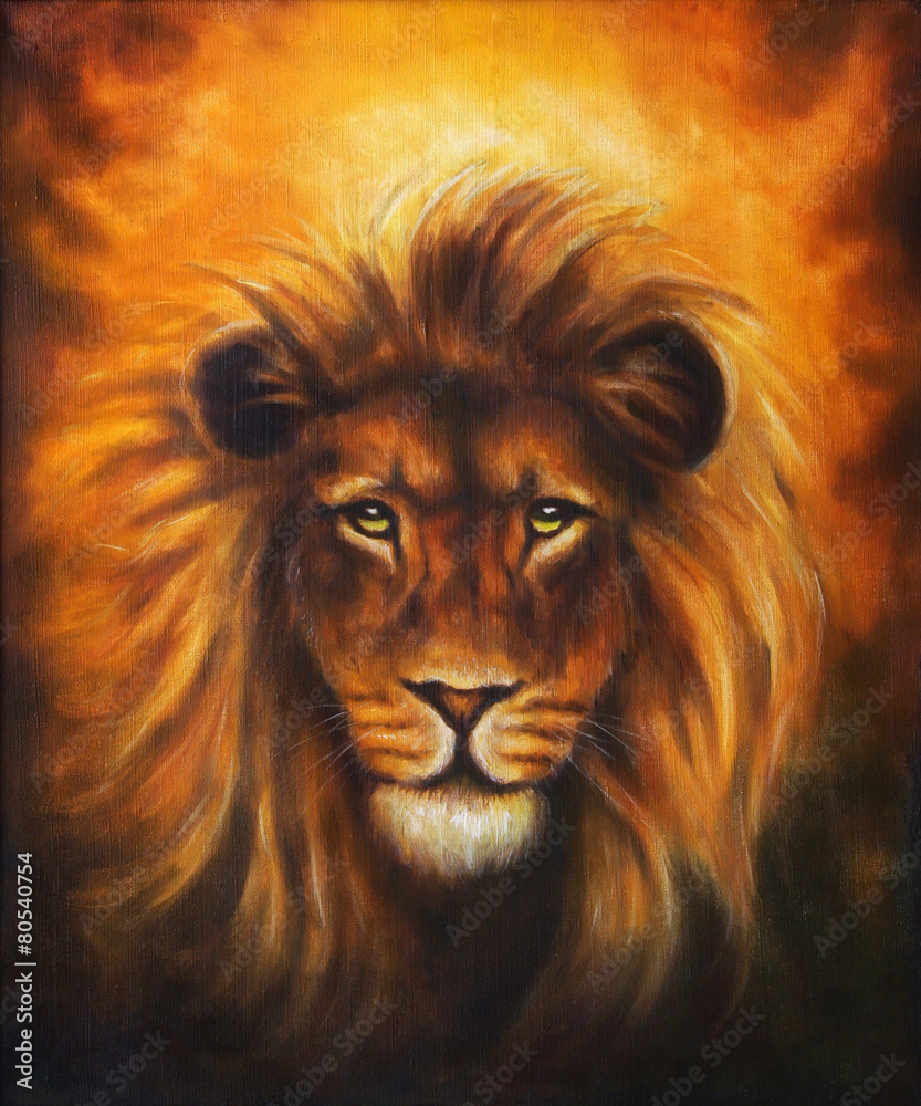 Fototapeta premium Lion close up portrait, lion head with golden mane, beautiful 