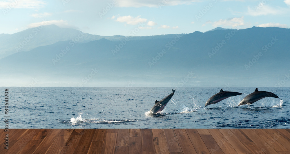 Obraz premium Dolphins in Pacific Ocean