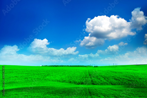 Beautiful spring field with the blue sky