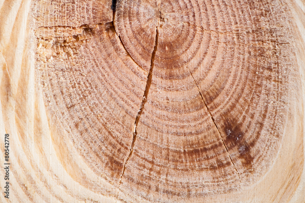 Naklejka premium wood background