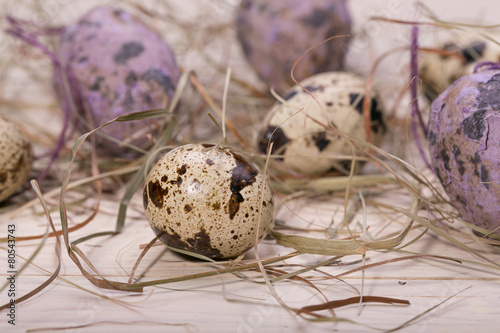 Easter eggs in a nest from a dry grass