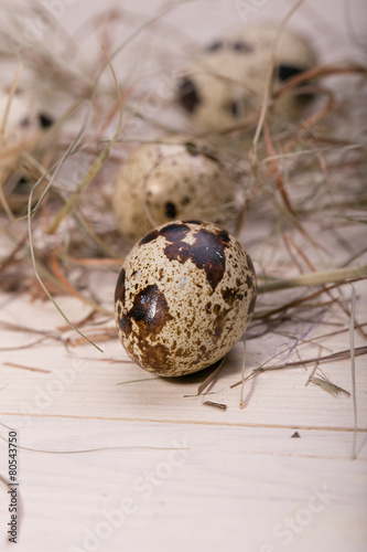 Easter eggs in a nest from a dry grass